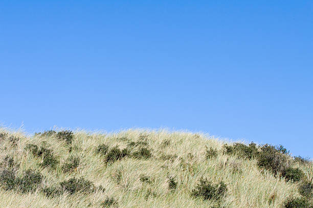 Dunes against a clear blue sky stock photo