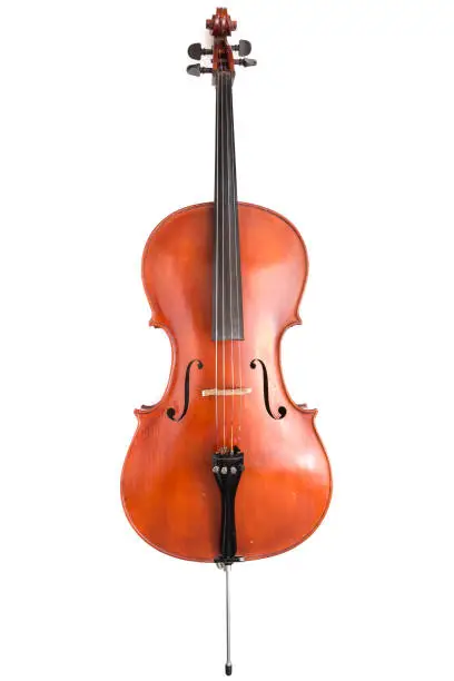 Front view of a cello isolated on white.