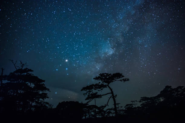 istock Milky Way glowing over a dark silhouetted forest. 914545744