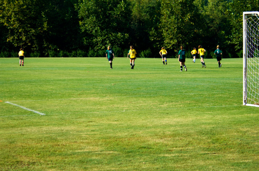 this picture is of Soccer Players playing Soccer on Soccer Field with Soccer Ball. the soccer players are playing a soccer game or soccer match. the soccer players are playing on a soccer field of green grass or artificial turf. there is also a soccer goal in the picture. each soccer team is wearing official soccer uniforms during the soccer game. there are trees in the background. the picture was taken during the soccer season. the picture was taken during the spring or summer. and the lighting in natural sunlight. 