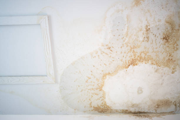 istock Peeling paint on an interior ceiling a result of water damage caused by a leaking pipe a result of substandard plumbing completed by an unqualified plumber. A common house insurance claim 914549498