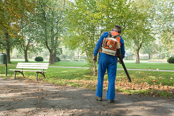 Man wearing blue coveralls removing leaves from footpath in park  street sweeper stock pictures, royalty-free photos & images