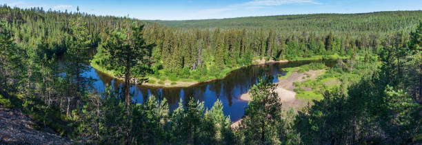 istock Green forest and blue river, Finland 914551932