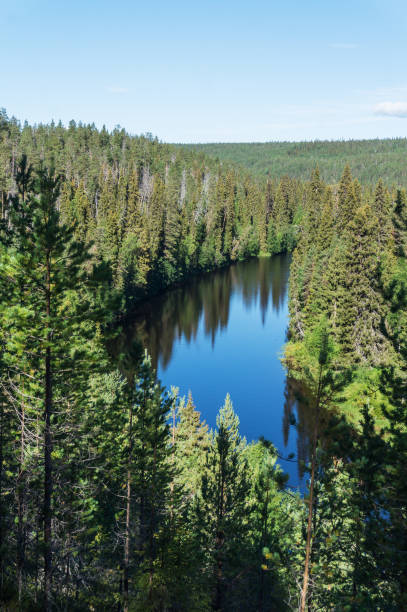 istock Green forest and blue river, Finland 914552096