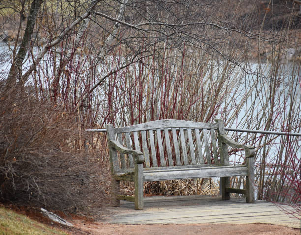 istock Park Bench by Hiking Trail 914556134