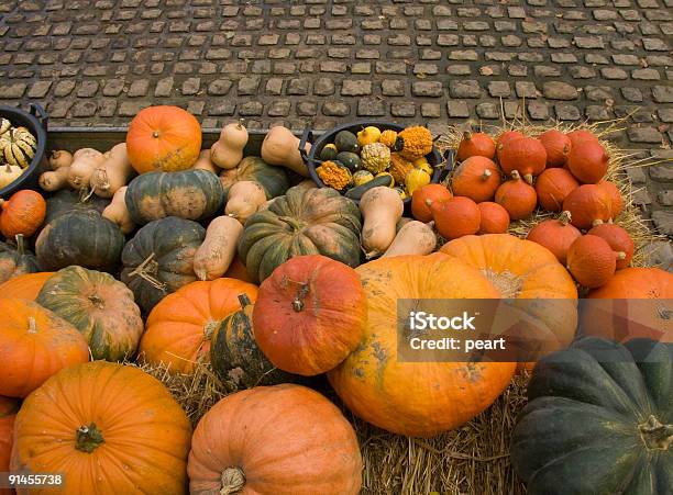 Abóboras No Mercado - Fotografias de stock e mais imagens de Abundância - Abundância, Abóbora Gigante, Abóbora Sugar Pie