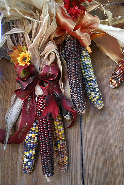 istock Indian Corn hanging on wood wall 91455766