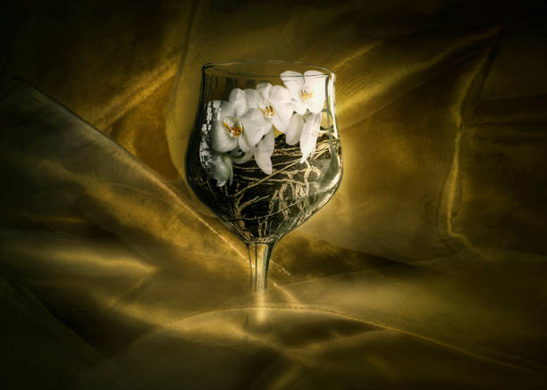 istock Art of Orchids 914558480