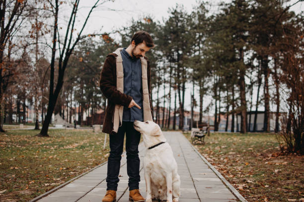 istock Walk on a cloudy day with a dog 914559422