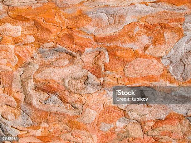 Texture Corteccia Di Pino Rosso Giapponese - Fotografie stock e altre immagini di Abete - Abete, Albero, Ambientazione esterna