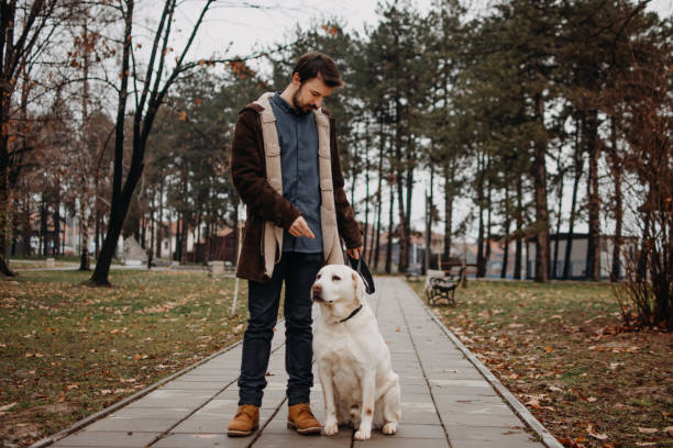 istock Walk on a cloudy day with a dog 914562052