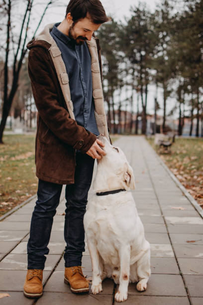 istock Walk on a cloudy day with a dog 914562328