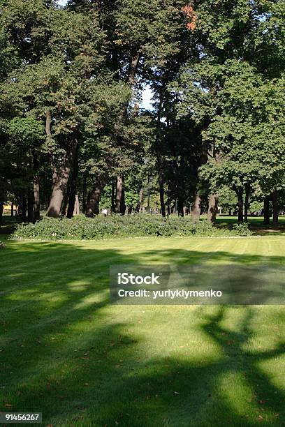 City Park Stock Photo - Download Image Now - Agricultural Field, Agriculture, Backgrounds