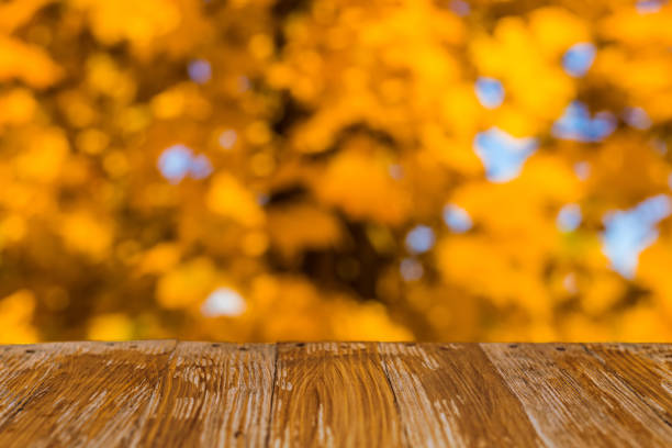 istock Empty rustic wood table top on blurred colorful autumn leaves background in bright fall forest. Can montage or display your products 914563144