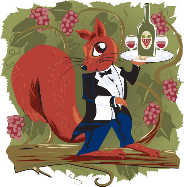 ilustrações de stock, clip art, desenhos animados e ícones de vinha esquilo - squirrel wine bottle vineyard