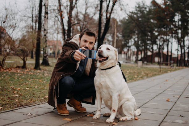 istock Walk on a cloudy day with a dog 914570116