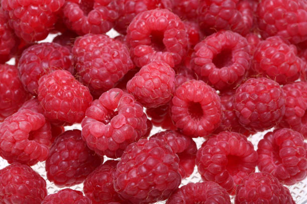 istock A beautiful selection of freshly picked ripe red raspberries. 914571236