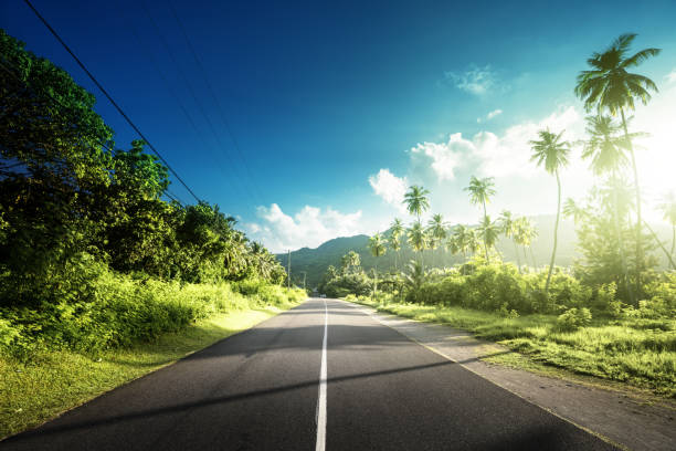 istock empty road in jungle of Seychelles islands 914576016