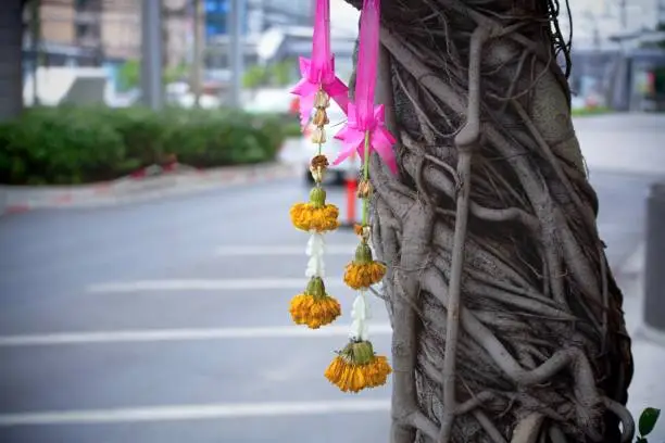 Close-up Banyan Tree with Hanging Yellow Flower Garland