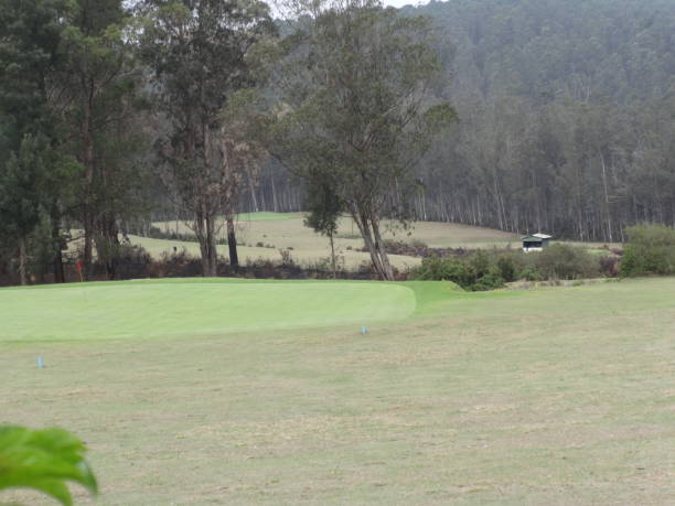istock Green field looking awesome with green grass. 914576798