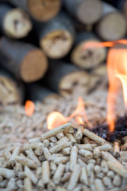 istock Wooden biomass - renewable energy 914583908