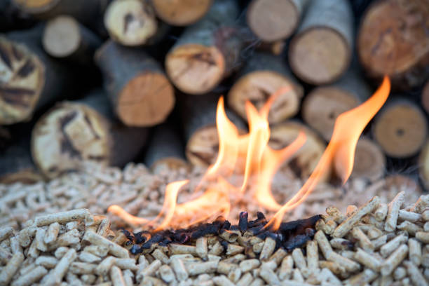 istock Wooden biomass - renewable energy 914583972