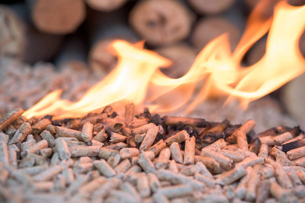 istock Wooden biomass - renewable energy 914583982