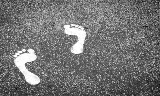 istock High Angle View Of Footprints On Road 914584374
