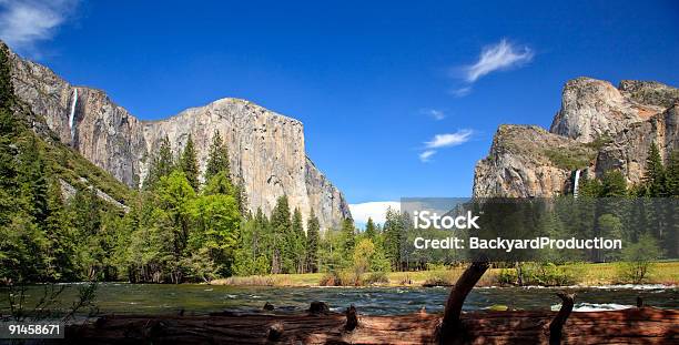 Log Обрамляющими Yosemite Долина — стоковые фотографии и другие картинки Без людей - Без людей, Бревно, Весна