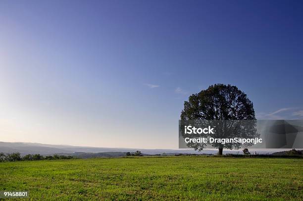 Paisagem Com Árvore - Fotografias de stock e mais imagens de Ao Ar Livre - Ao Ar Livre, Azul, Campo agrícola