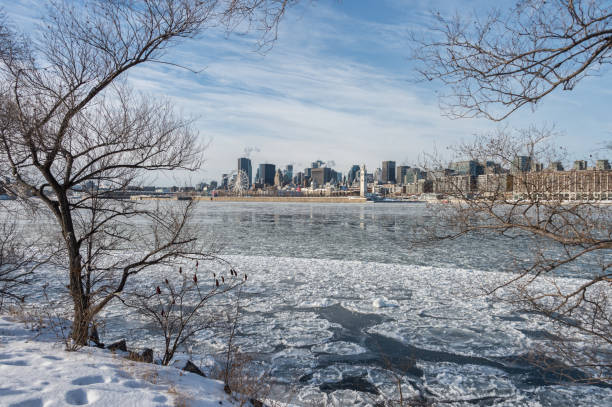 istock Montreal Skyline in winter (2018) 914591182
