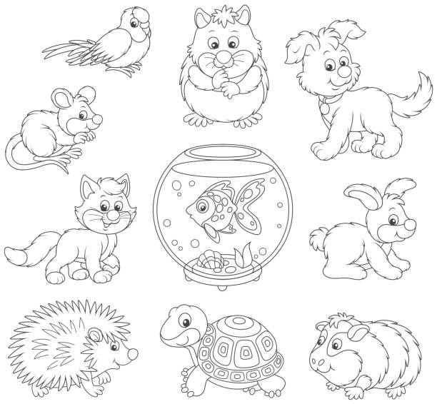 Set Of Pets Stock Illustration - Download Image Now - Coloring, Mouse -  Animal, Domestic Cat - iStock