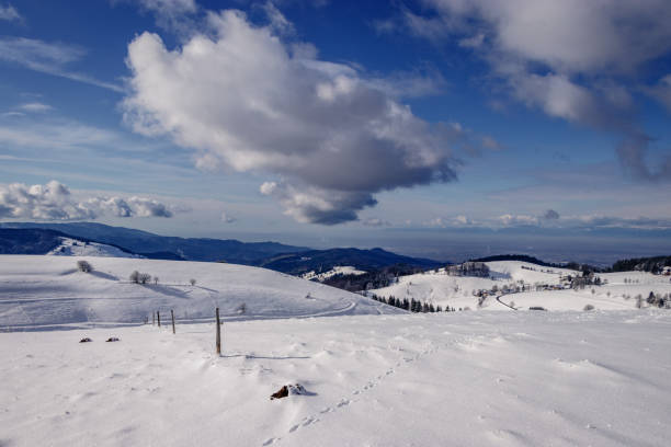 "샤우인스란트" 라는 곳에서 라인 강 골짜기 아래를 내려다 보면서 - cross country skiing black forest germany winter 뉴스 사진 이미지