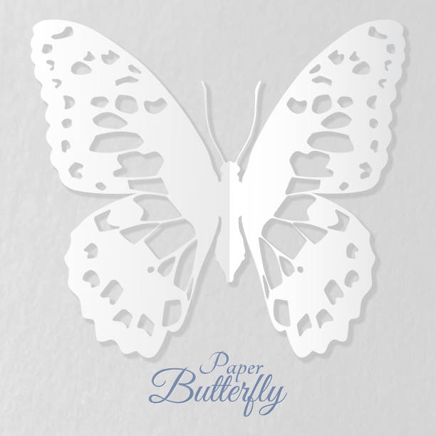 Paper Butterfly Vector 80+ Butterfly Morphing Stock Illustrations, Royalty-Free Vector ...