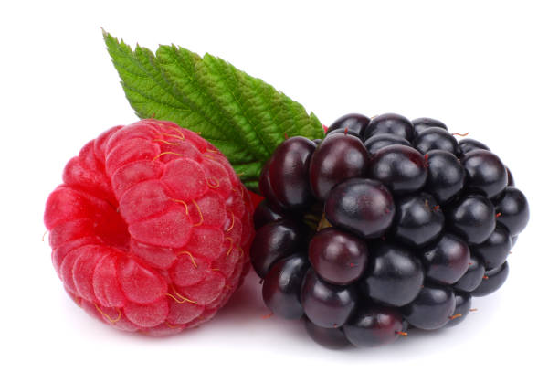istock blackberries with raspberries and green leaf isolated on white background. macro 914609648