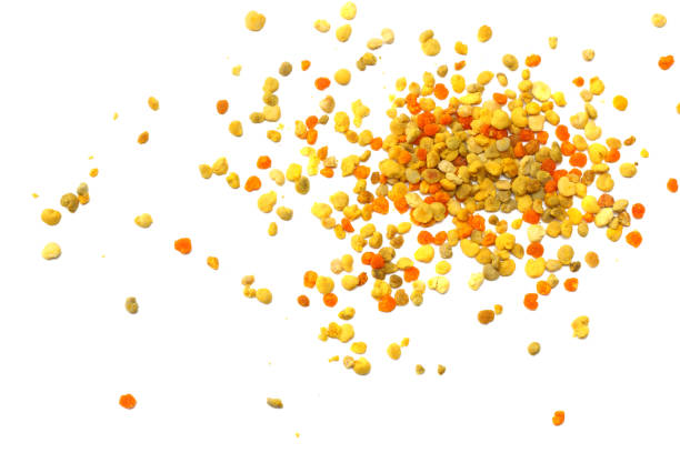 Honey bee pollen isolated on white background. top view