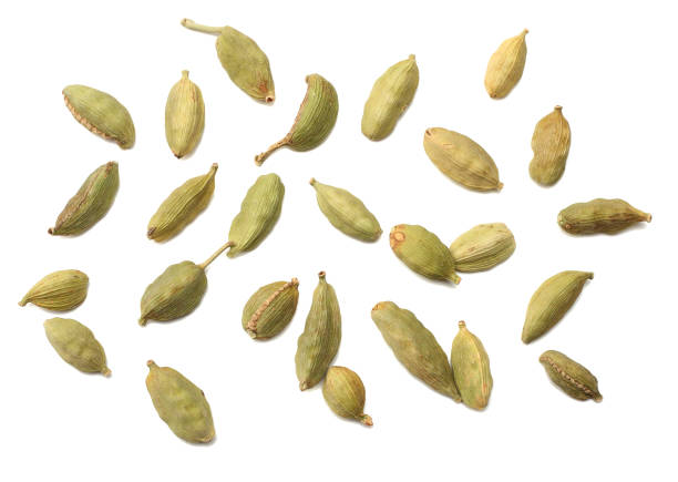 Pile of green Cardamom, cardamon or cardamum (dried fruits of Elettaria cardamomum) isolated on white. shadow separated top view Pile of green Cardamom, cardamon or cardamum (dried fruits of Elettaria cardamomum) isolated on white. shadow separated top view cardamom stock pictures, royalty-free photos & images
