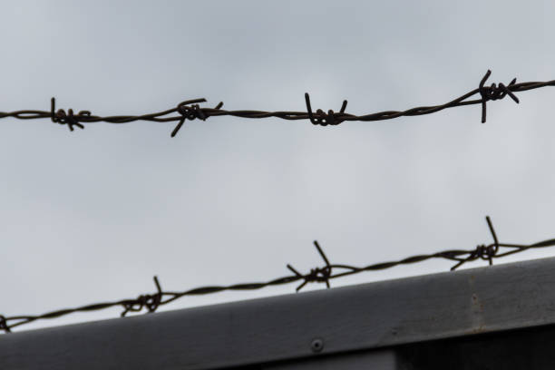 istock Close-up of barbed wire against cloudy sky 914612892