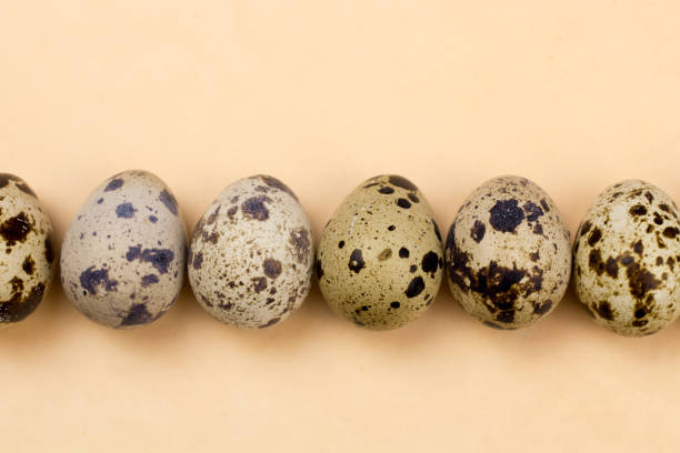 istock Quail eggs on pastel yellow surface. Close up macro. Easter holiday background. 914616468