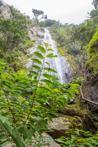 India Caru Waterfall from below Waterfall in Bailadores, Merida State, Venezuela. Its name is La Cascada de la India Caru in Jose Antonio Paez Park.  This is Venezuelan Andes. landscape of the mountains in merida venezuela stock pictures, royalty-free photos & images