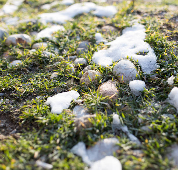 istock snow on the green grass in nature 914619834