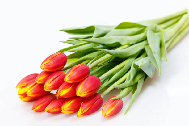 istock Bouquet of red tulips 914620470