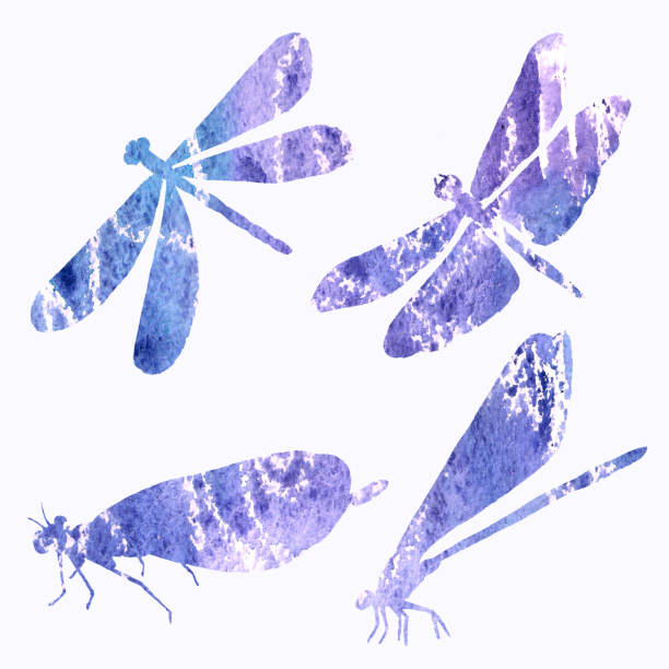 istock Abstract collection of dragonfly silhouettes in watercolor. 914622586