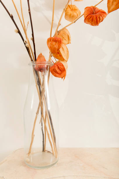 istock Clear Glass Vase Containing Wilted Flowers on White Background 914629674