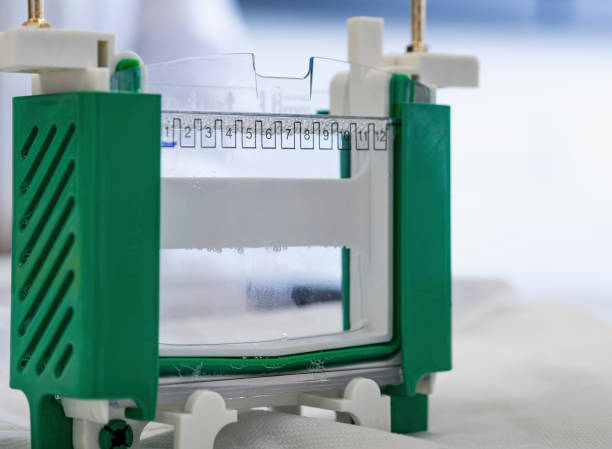 electrophoresis chamber or tank prepared with solution - agarose imagens e fotografias de stock