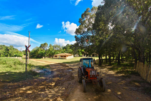 LANDSCAPE OF CAMPO TRINIDAD