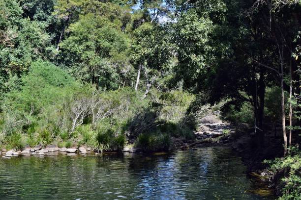 istock Beautiful Gardners Falls in Maleny 914641420
