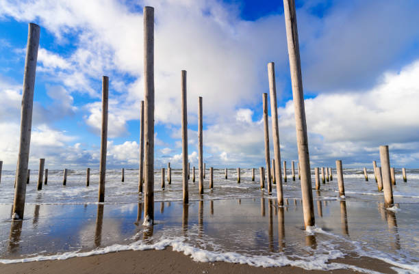 istock Wooden Poles on a Beach 914642110
