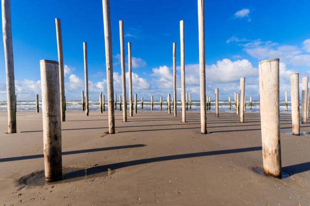 istock Wooden Poles on a Beach 914642152