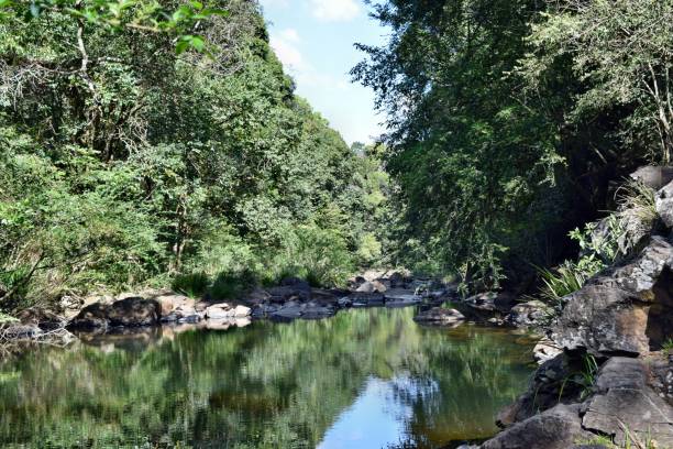 istock Beautiful Gardners Falls in Maleny 914642154